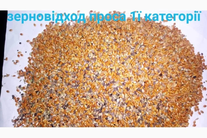 Продам висівку (лушпиння) проса Велика кількість- фото № 4