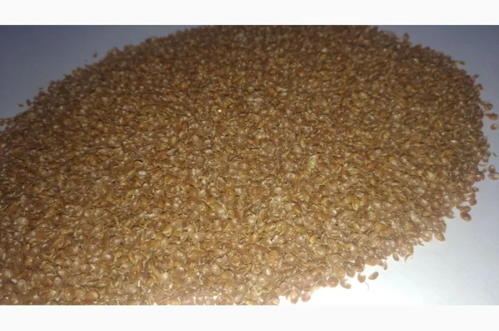 Продам висівку (лушпиння) проса Велика кількість- фото № 5