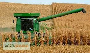 Отруби кукурузные- фото № 5