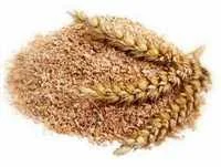 Висівки пшеничні- фото № 1