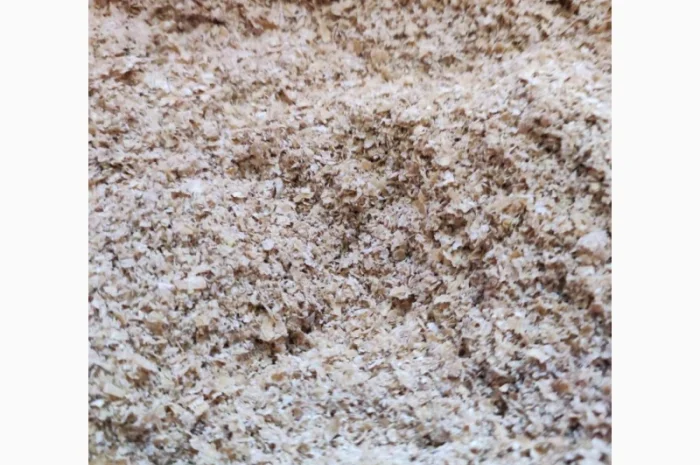 Продам висівки пшеничні- фото № 2