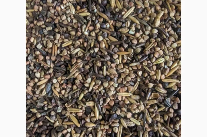 Відходи зернові гречані- фото № 2