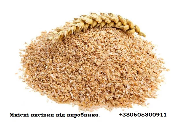 Висівки житні в біг-бегах/мішках або насипом- фото № 6