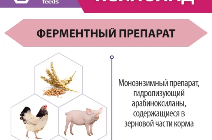 Ксилолад - Ферменты для животных и птицы- фото № 3