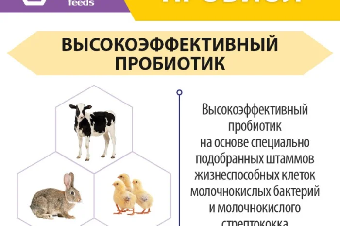 Пробиол - Пробиотик для животных и птицы- фото № 3