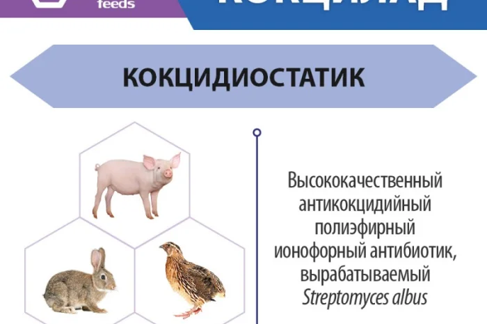 Кокцилад - Антибиотик для животных и птицы- фото № 3