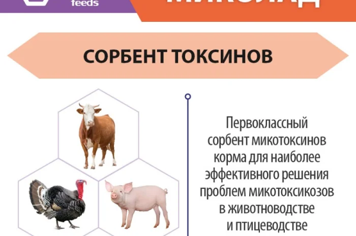 МикоЛад - Сорбент для животных и птицы- фото № 3