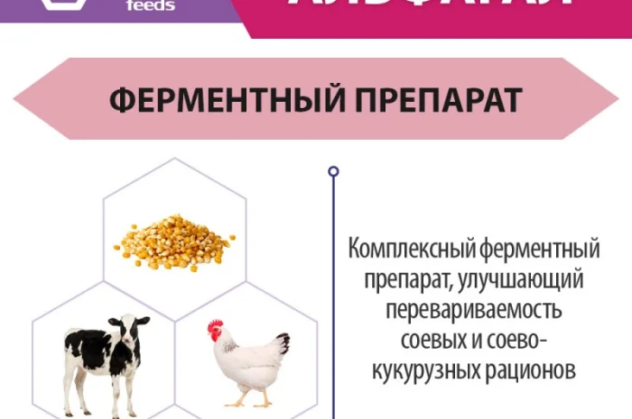 АльфаГал ENZIM Feeds - Ферменты для животных и птицы- фото № 1