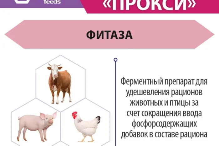Ладозим Прокси (Фитаза) - Фермент для животных и птицы- фото № 3