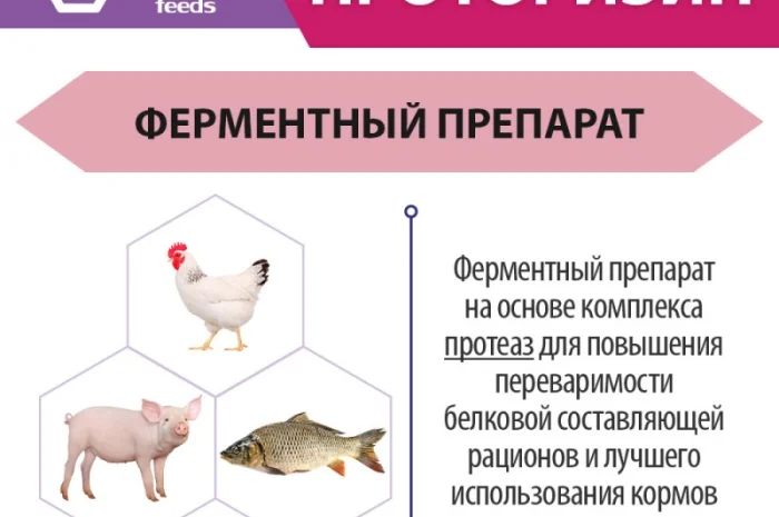 Проторизин - Ферменты для животных, птицы и рыбы- фото № 3