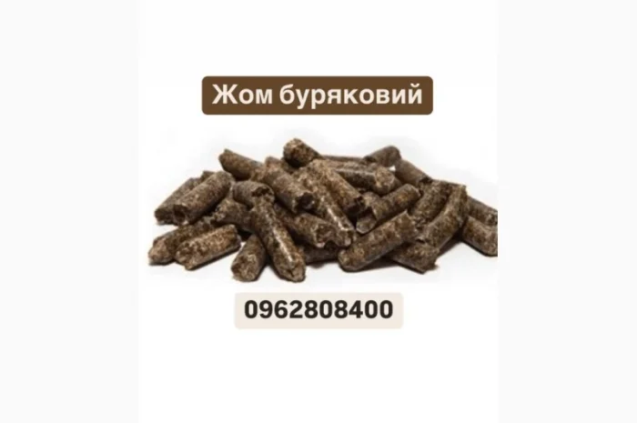 Жом буряковий гранульований- фото № 1