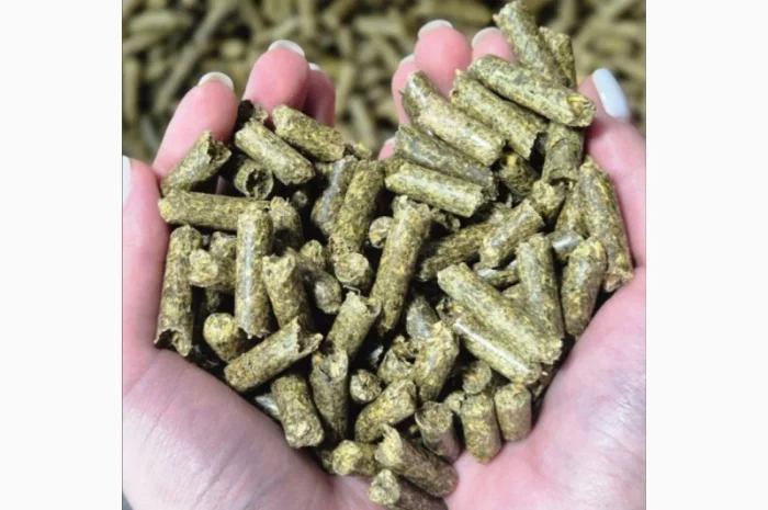 Гранульована люцерна- фото № 1