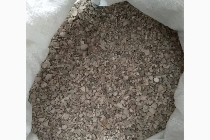 Ракушка річкова кормова- фото № 3