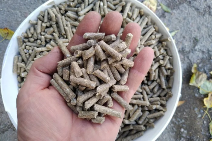 Корм для кур несушек: гранулированный ячмень и овес- фото № 2