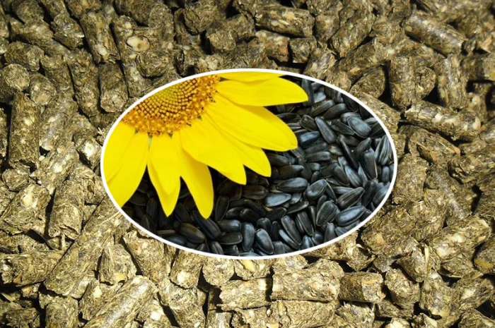 Продам шрот, макуху- фото № 5