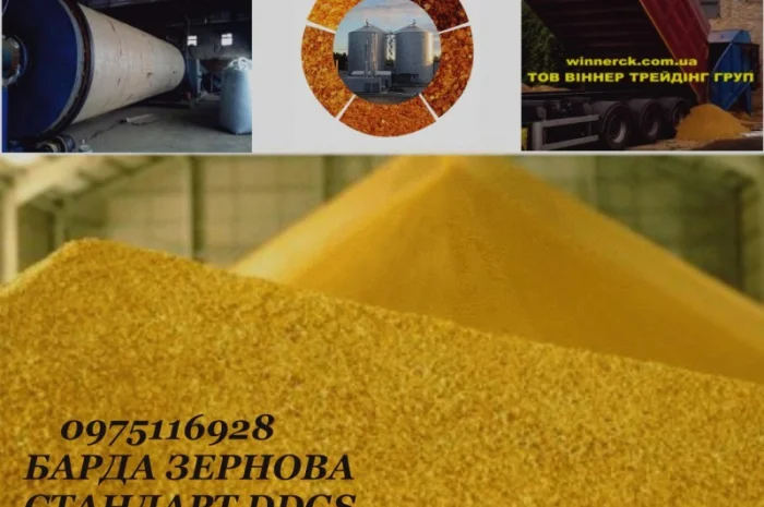 Подам барду післяспиртову суху DDGS з виробництва- фото № 1