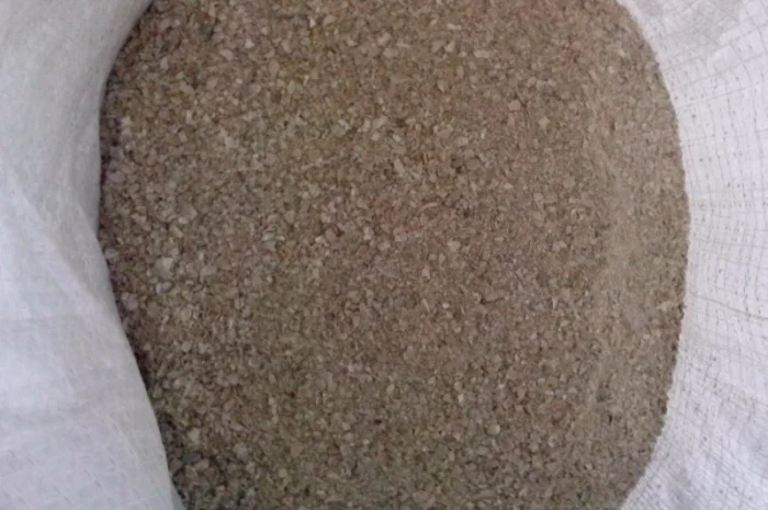 Ракушка кормовая ( морская )- фото № 1