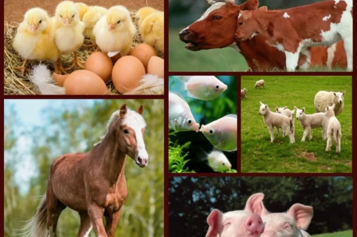 Ароматизатор в корм для животных- фото № 1