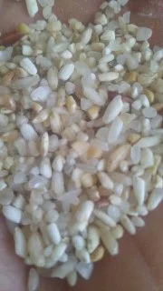 Рисовая сечка- фото № 1