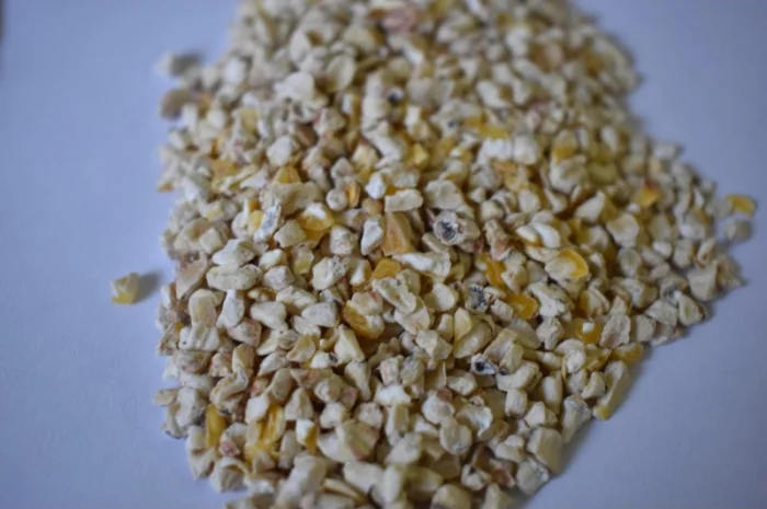 Кукурудзяний зародок- фото № 2