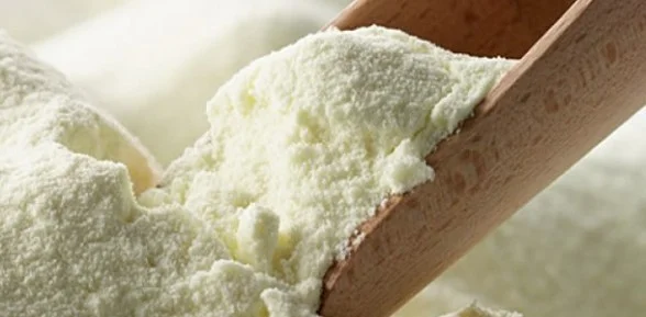 Сухое молоко 25% яичный порошок глютен ванилин мука какао изюм- фото № 1