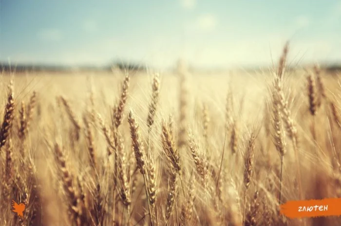 Глютен, клетчатка пшеничная, клейковина- фото № 1