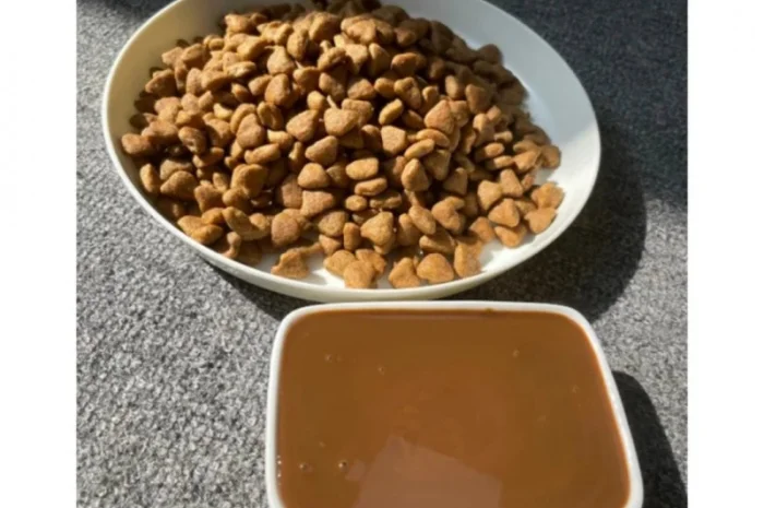 Гідролізат печінки курячої, гідролізат з риби- фото № 3