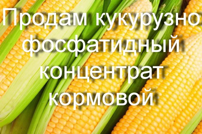 Продам кукурузно-фосфатидный концентрат кормовой- фото № 1