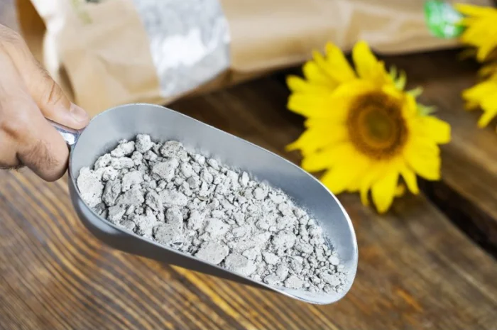 Високопротеіновий соняшниковий концентрат- фото № 1