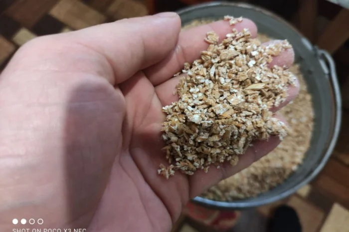 Продам Крупу пшеничну для тварин, виготовлену вальцевою плющілкою- фото № 1