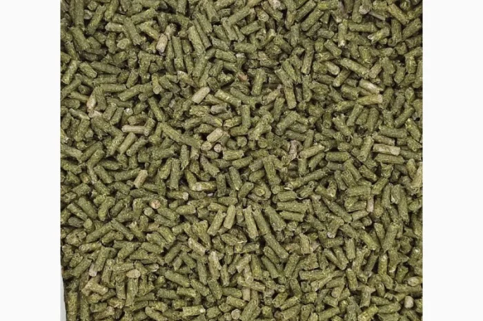Люцерна гранульована- фото № 2