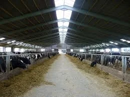 Ангари для корів, будівництво під ключ- фото № 1