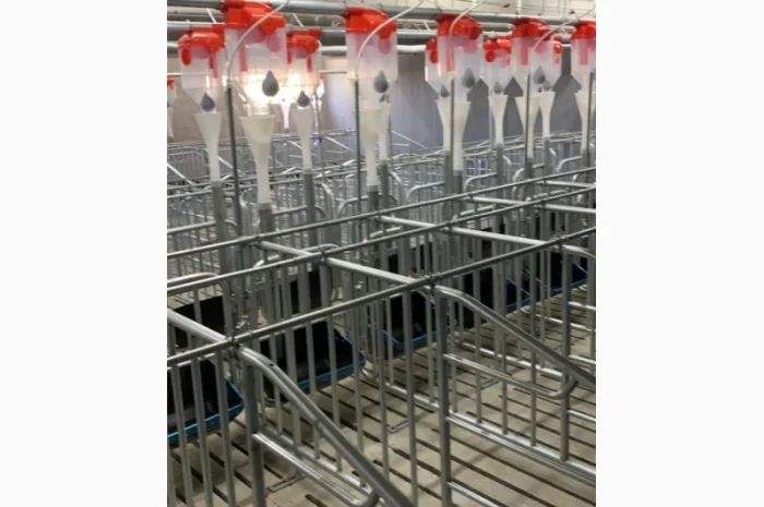 Строительство и реконструкция свиноферм под ключ- фото № 2