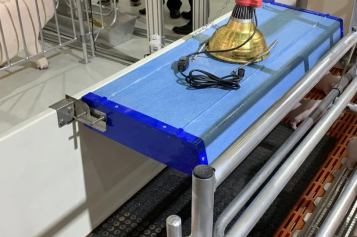 Будівництво і реконструкція свиноферм "ПІД КЛЮЧ"- фото № 2