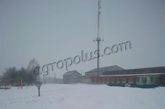 Строительство и ремонт зерноскладов- фото № 2