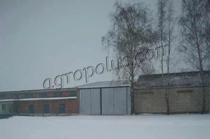 Строительство и ремонт зерноскладов- фото № 4