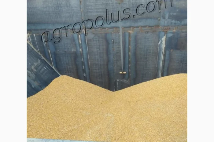 Строительство завальных ям любой сложности- фото № 4