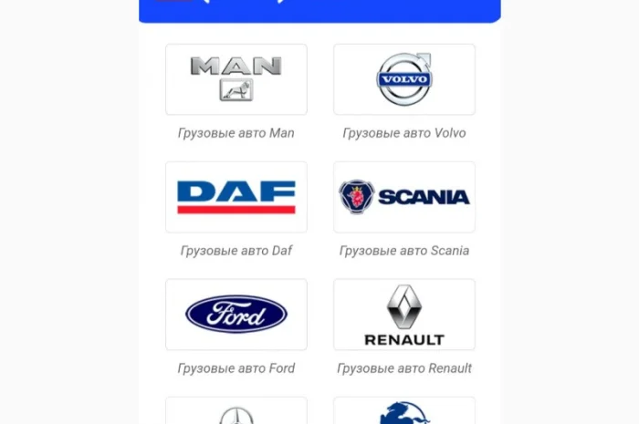 Ремонт гідропідсилювача (ГУР) DAF- фото № 1