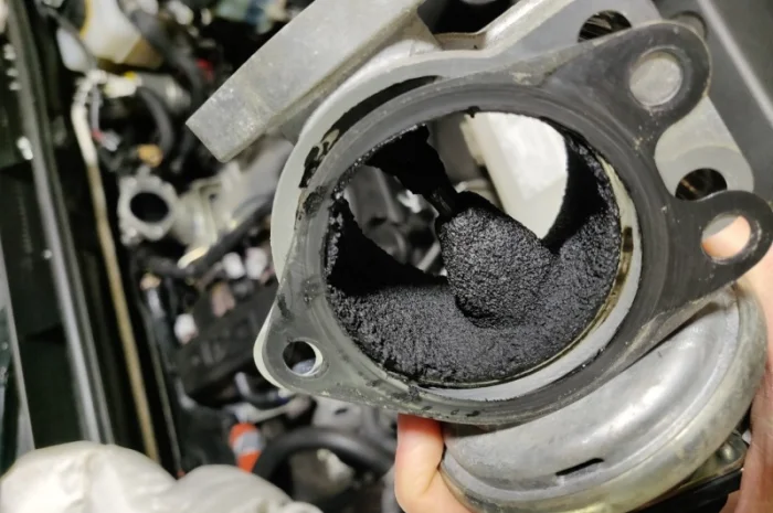 Програмне відключення та видалення клапана EGR- фото № 5