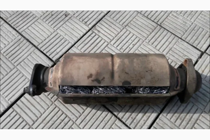 Програмне відключення та видалення фільтрів сажі (DPF/FAP)- фото № 3