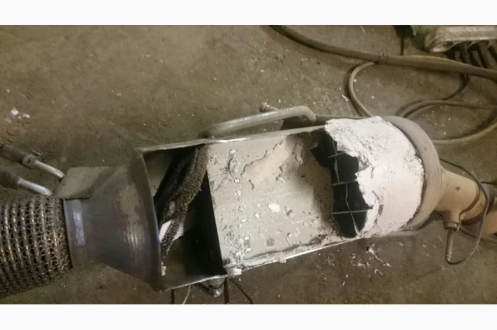 Програмне відключення та видалення фільтрів сажі (DPF/FAP)- фото № 4