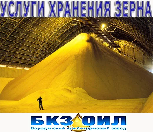 Сушка зерна, кукурудзи, насіння соняшнику, сої Послуги очистки зерна. Власна лабораторія- фото № 1