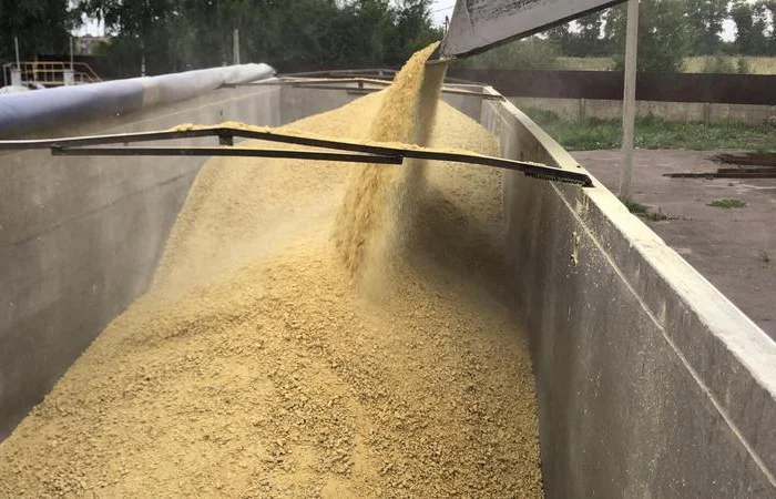 Сушка та очищення зерна в Києві та області- фото № 6