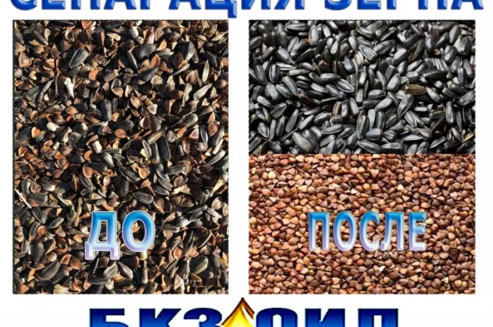 Послуги з сортування, розділення та сепарації зерна- фото № 1