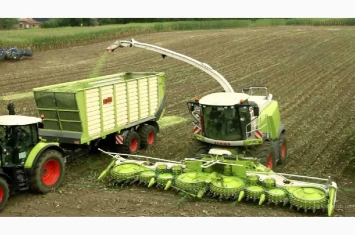 Косіння трави, оренда силосного комбайна та послуги з обробки землі- фото № 1