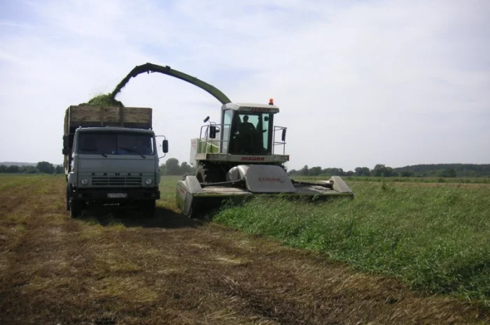 Аренда силосного комбайна и услуги пресс-подборщика в Одессе- фото № 1