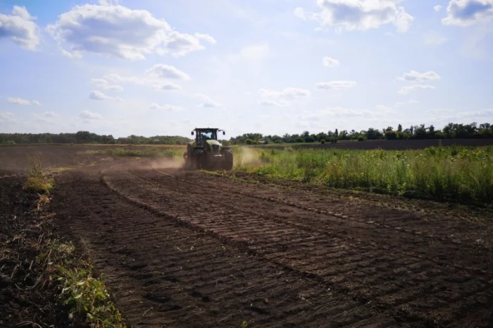 Услуга по выкорчевке растительности- фото № 1