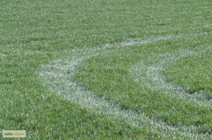 Внесение КАС агрокомплексом Роса- фото № 2