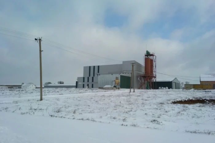 Доработка семян зерновых и масличных культур- фото № 3