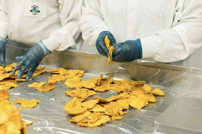 Послуги сушіння- фото № 1